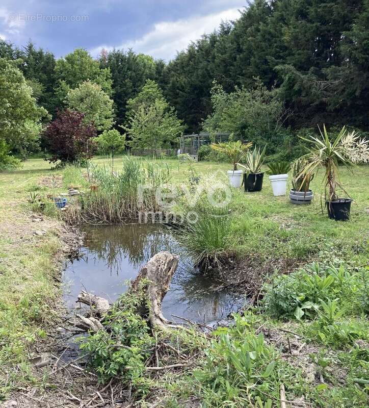 Maison à LA CHEVROLIERE