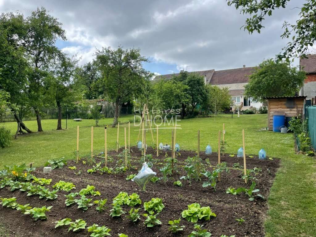 Maison à ROZAY-EN-BRIE