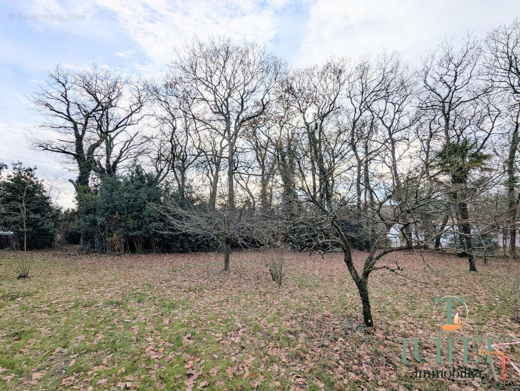 Terrain à BREUILLET