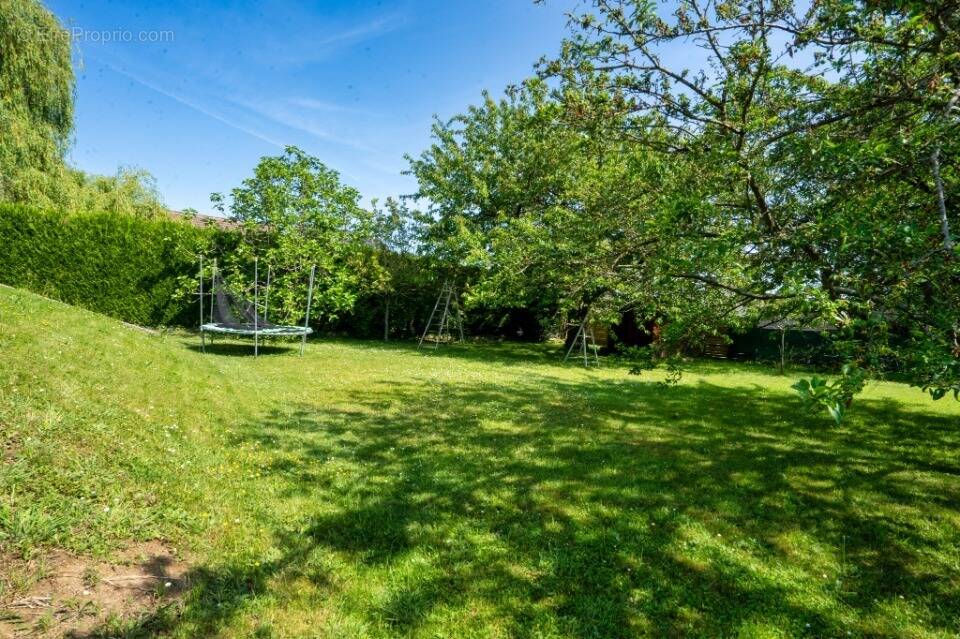 Terrain à VERRIERES-LE-BUISSON