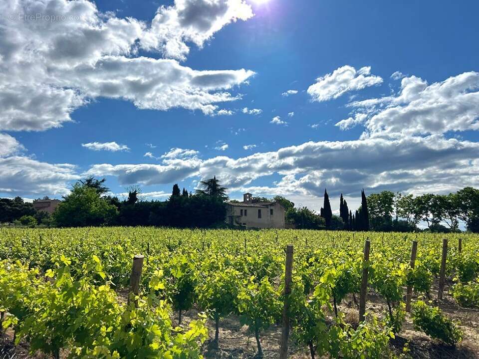 Terrain à GUZARGUES