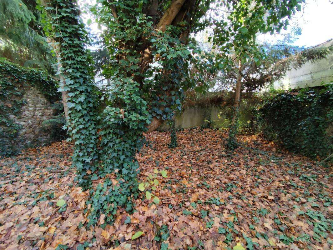 Commerce à RAMBOUILLET