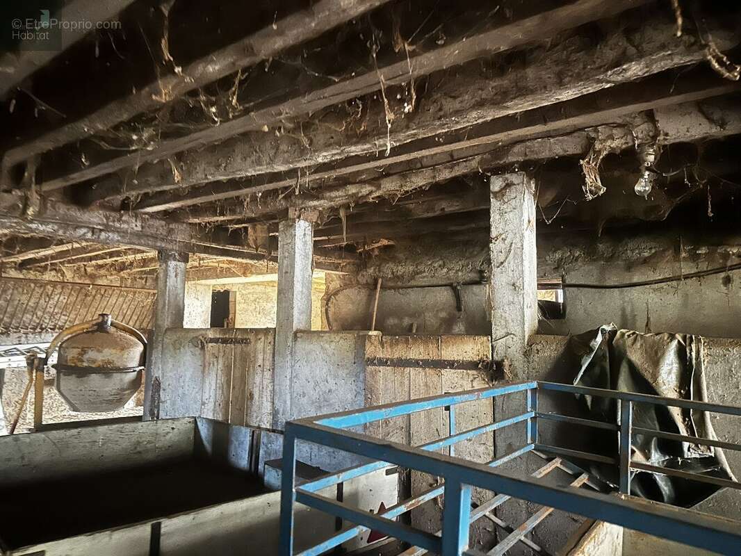 Maison à LE TRIOULOU