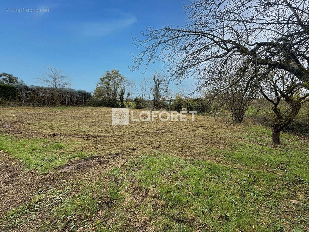 Terrain à MISERIEUX