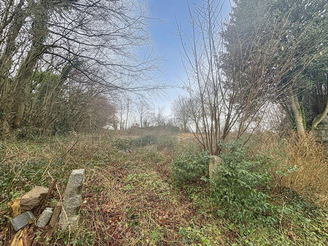 Maison à SAINT-MICHEL-DE-MONTJOIE