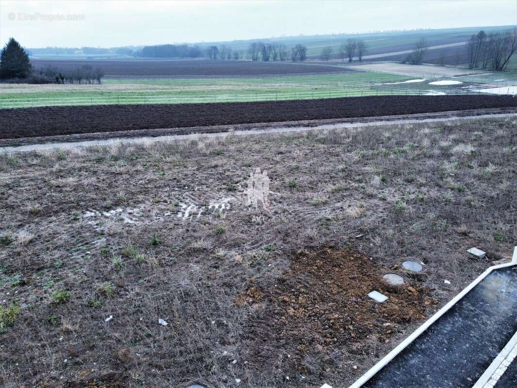 Terrain à OSTHOFFEN