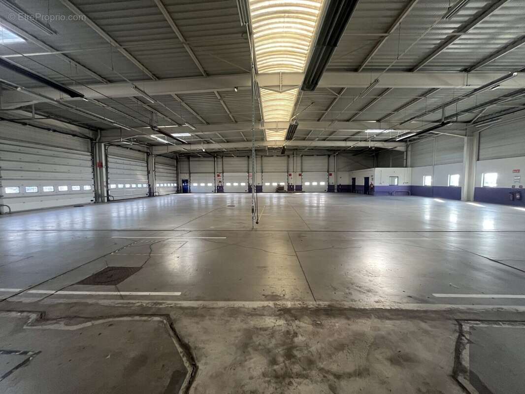 Commerce à SOUFFELWEYERSHEIM