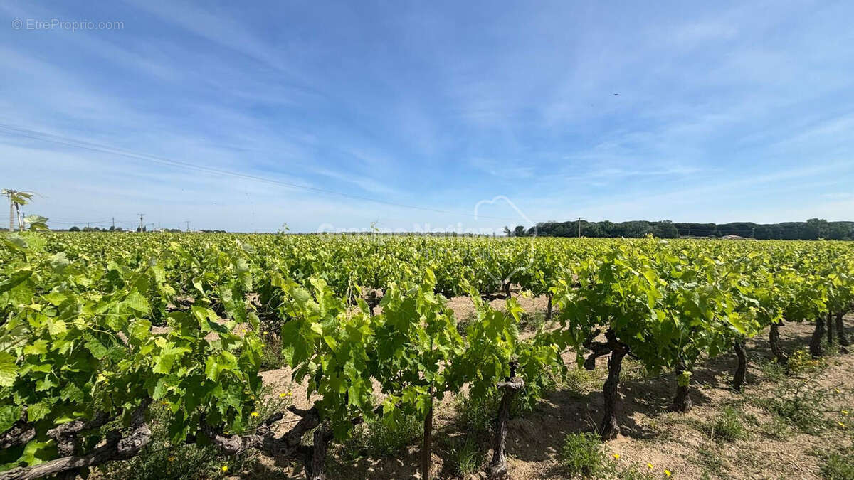 Maison à AIGUES-MORTES