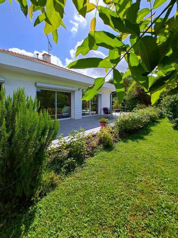 Maison à SAINT-JEAN-SUR-MOIVRE