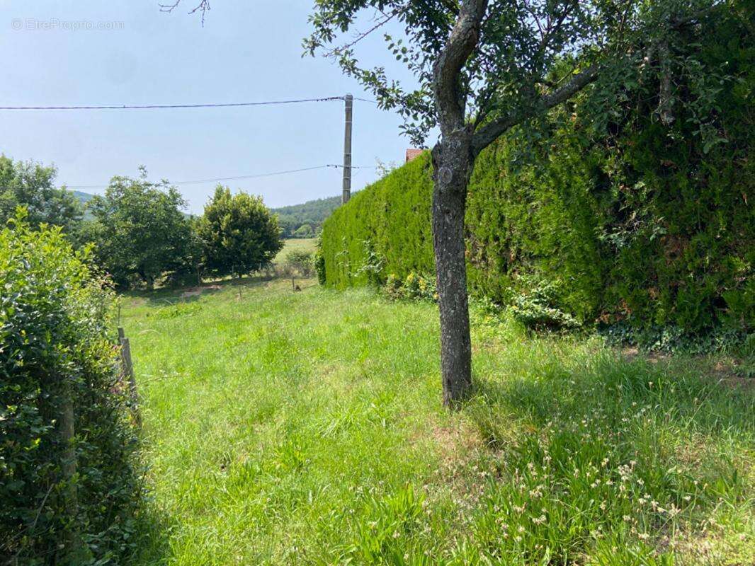 Maison à POLLIONNAY