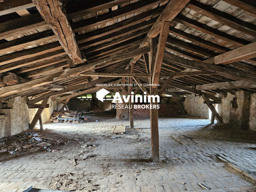 Commerce à SAINT-AMOUR