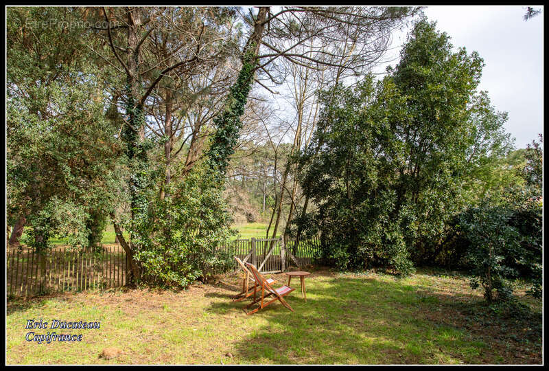 Maison à LEGE-CAP-FERRET