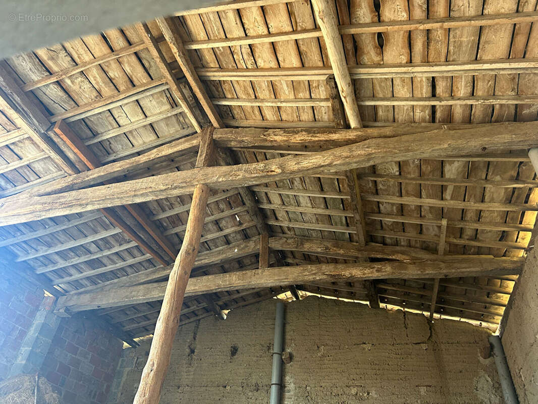 Maison au calme Escoutoux 64.77 m2 - photo 7