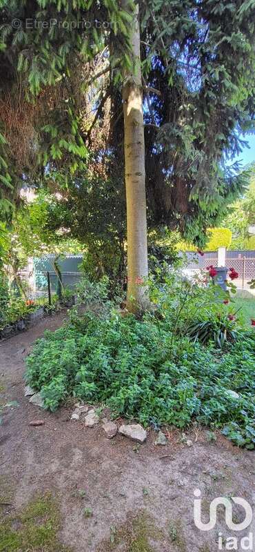 Photo 8 - Maison à VELIZY-VILLACOUBLAY