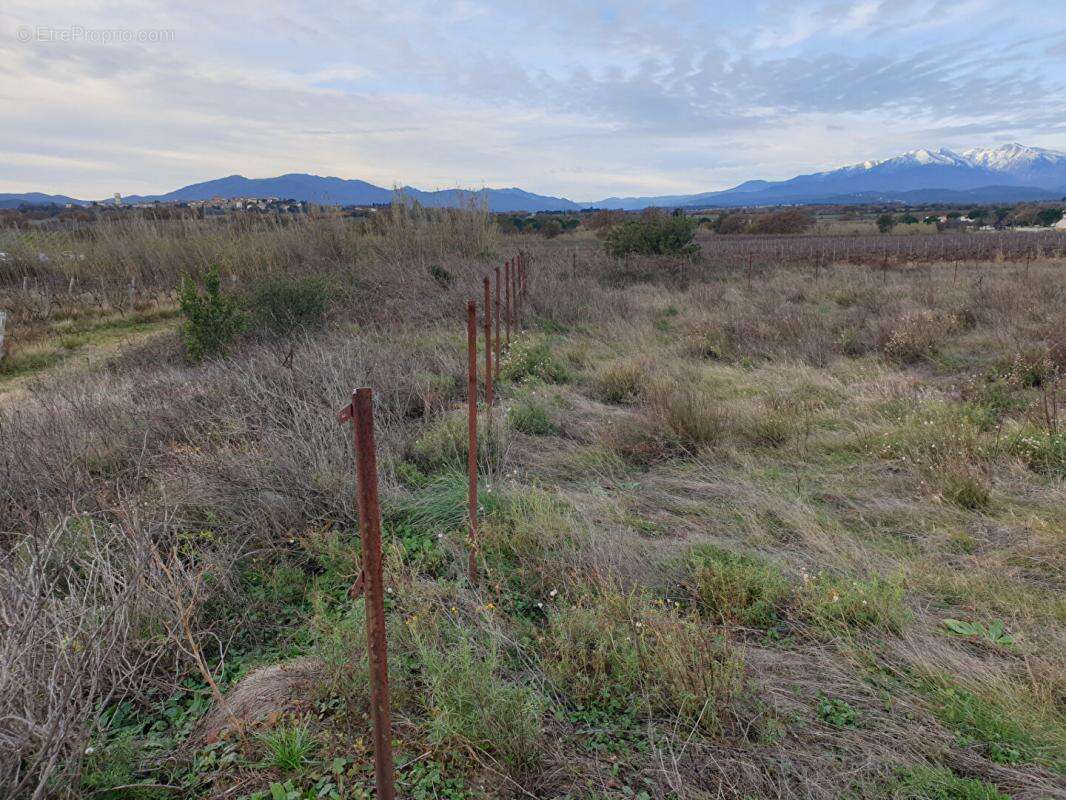 Terrain à BANYULS-DELS-ASPRES