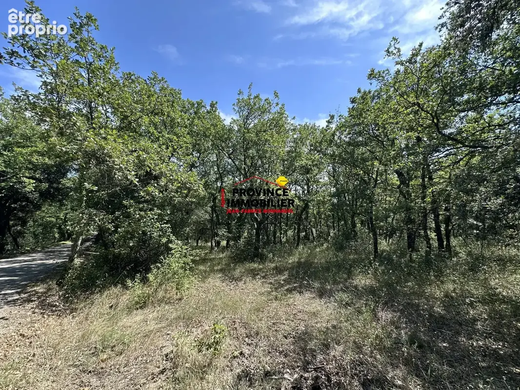 Terrain 12 485 m² à vendre à Grignan (26230) - photo 7