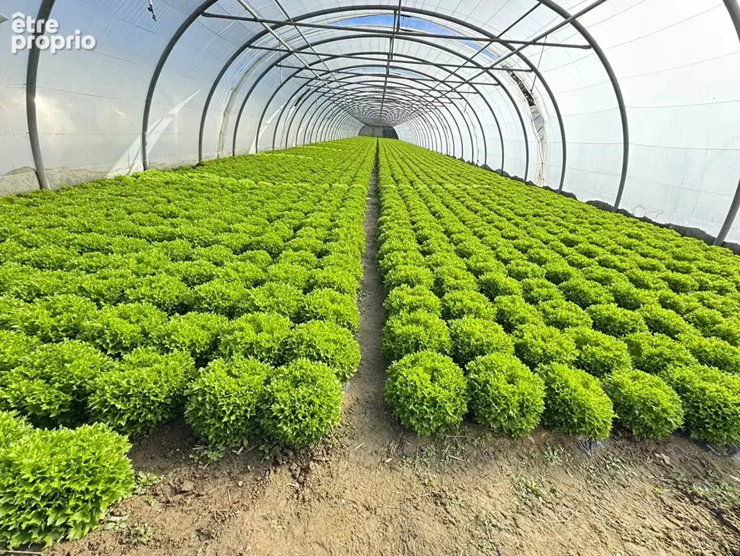 Domaine agricole Bompas et Villelongue de la Salanque 31000 m2 - photo 5