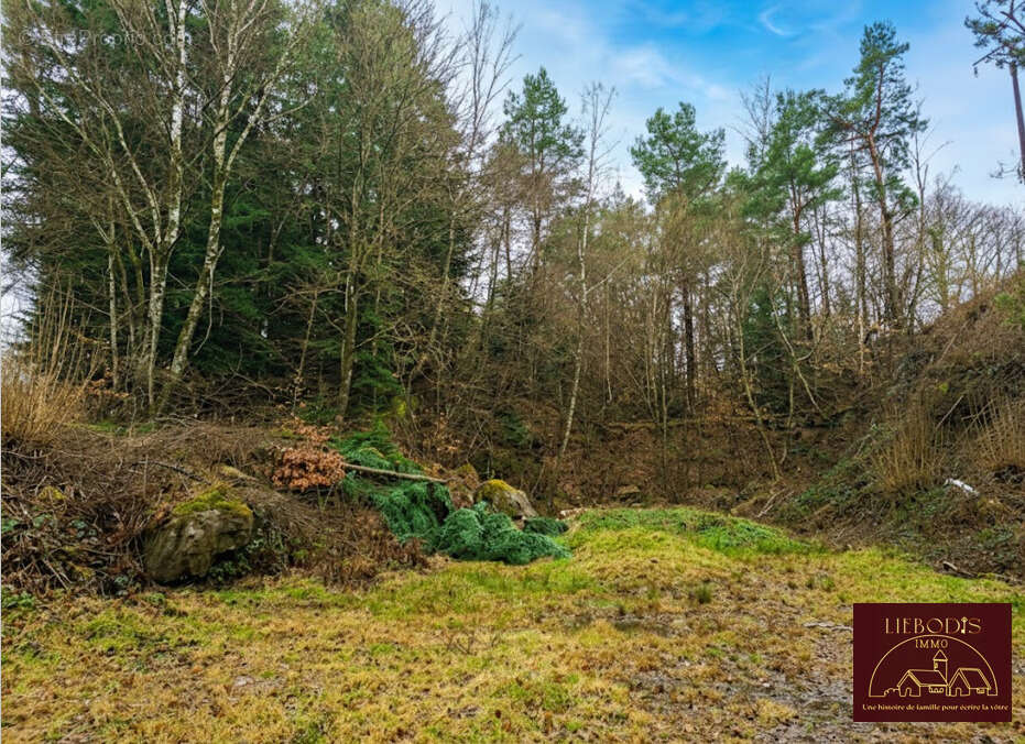 Belle bâtisse rénovée avec jardin, bois et pâtures - photo 14