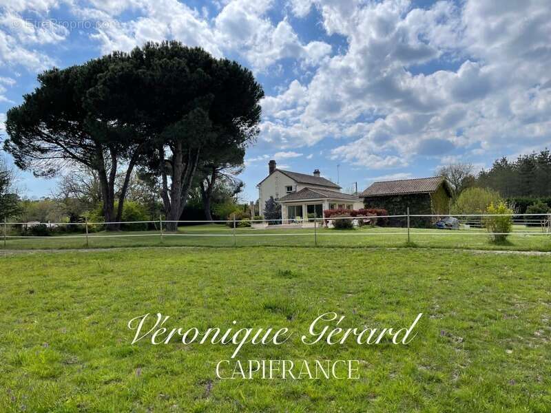 Belle Girondine avec Gîte et boxes pour chevaux à SAINT CHRISTOPHE DE DOUBLE sur 12000M² de terrain - photo 26