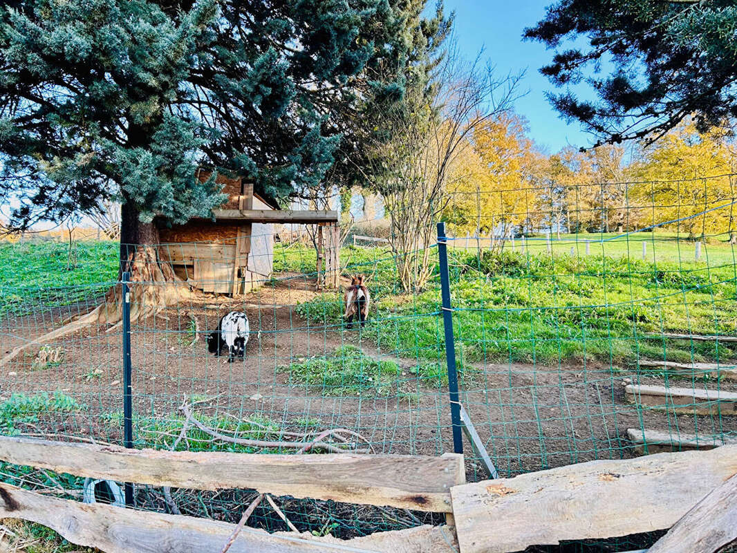 Maison à SAINT-DENIS-DE-CABANNE