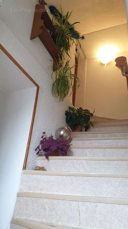 Maison à LA ROCHE-EN-BRENIL