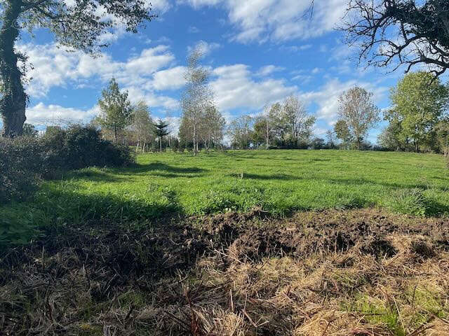 Terrain à SAINT-BONNET-DE-CRAY