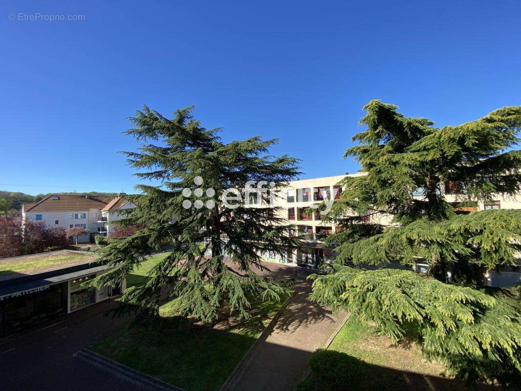 Appartement - photo 5