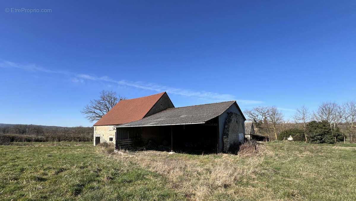 Exploitation céréalière de 170ha dans l'Allier (03) - photo 14