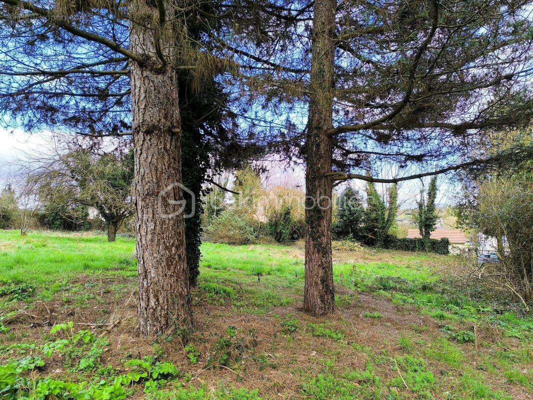 Terrain à LE GRAND-LUCE