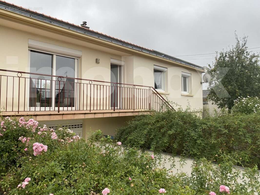 IMG_9535 - Maison à MESANGER