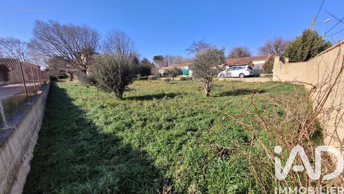Photo 3 - Terrain à MORIERES-LES-AVIGNON