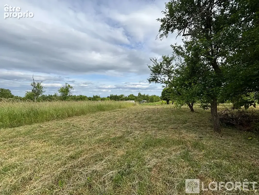 Beau terrain constructible 780m2 Bernardswiller - photo 4