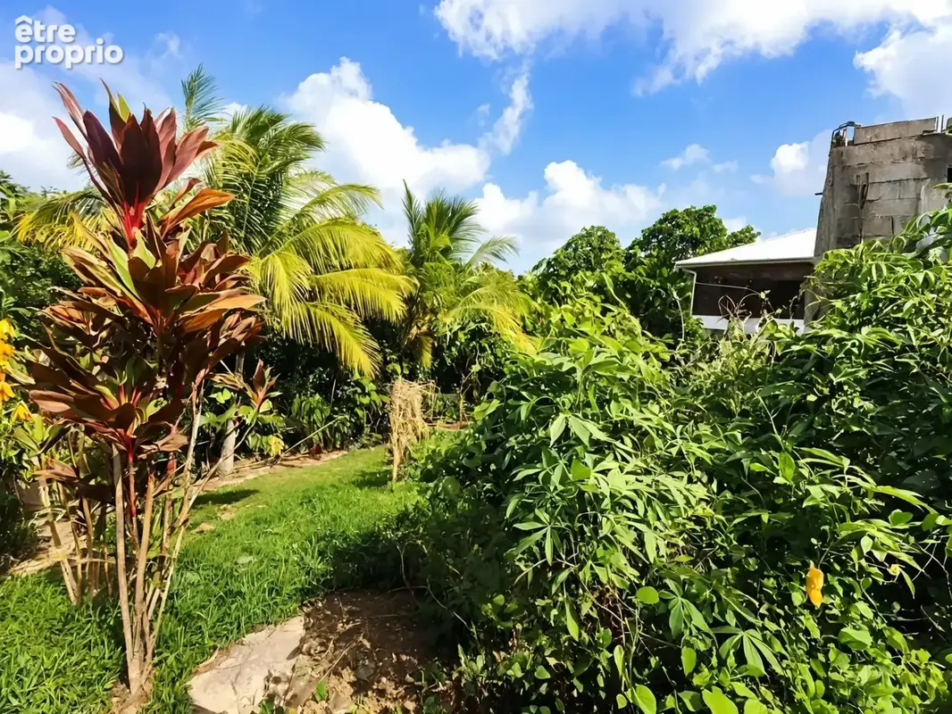 Maison T3 à achever à vendre SAINTE ANNE RICHER (971) - photo 8