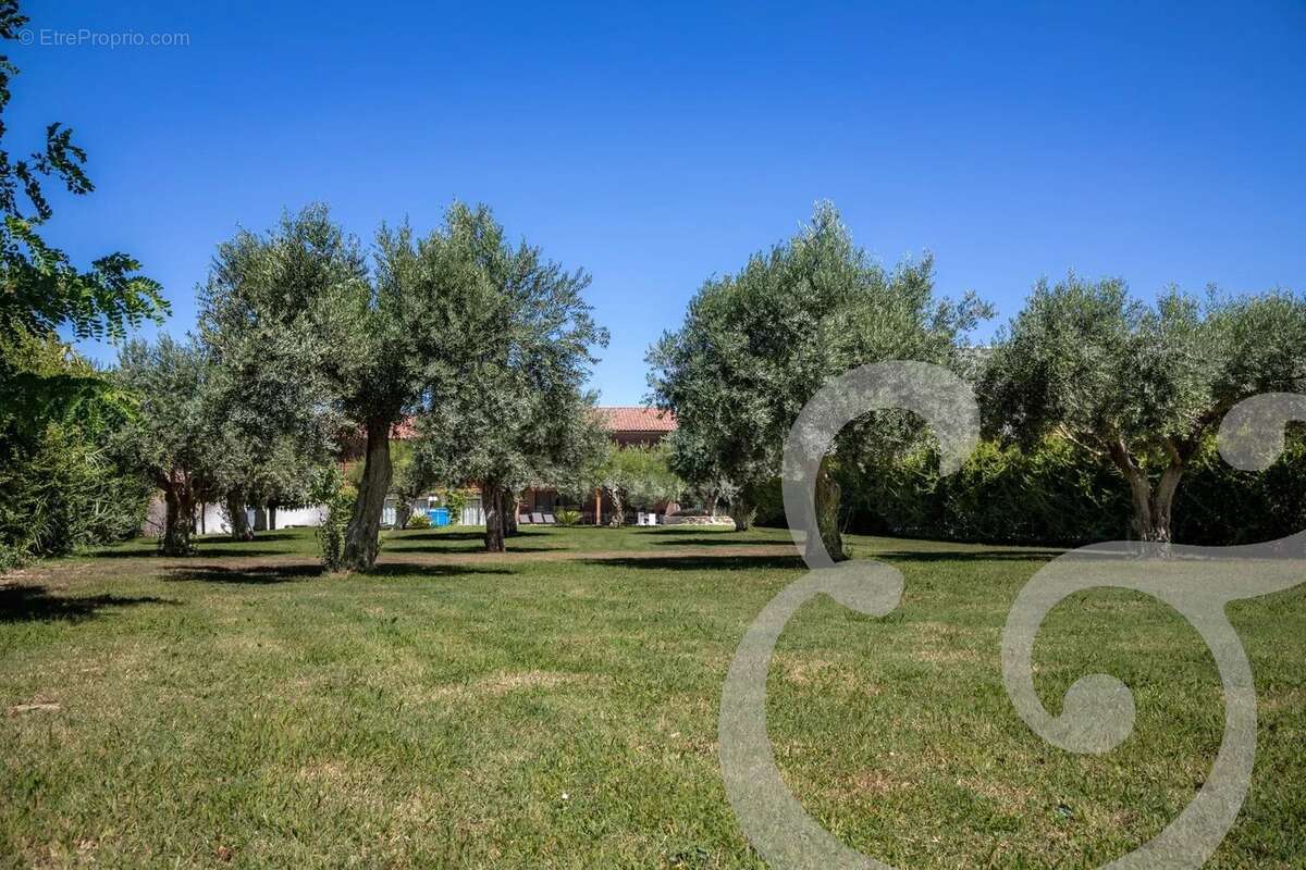 Maison à SAINT-REMY-DE-PROVENCE