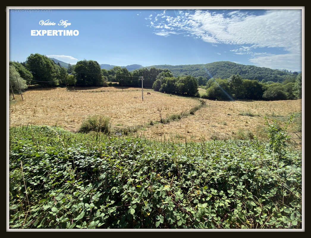La Salvetat sur Agout ,Maison avec jardin et prairie - photo 3