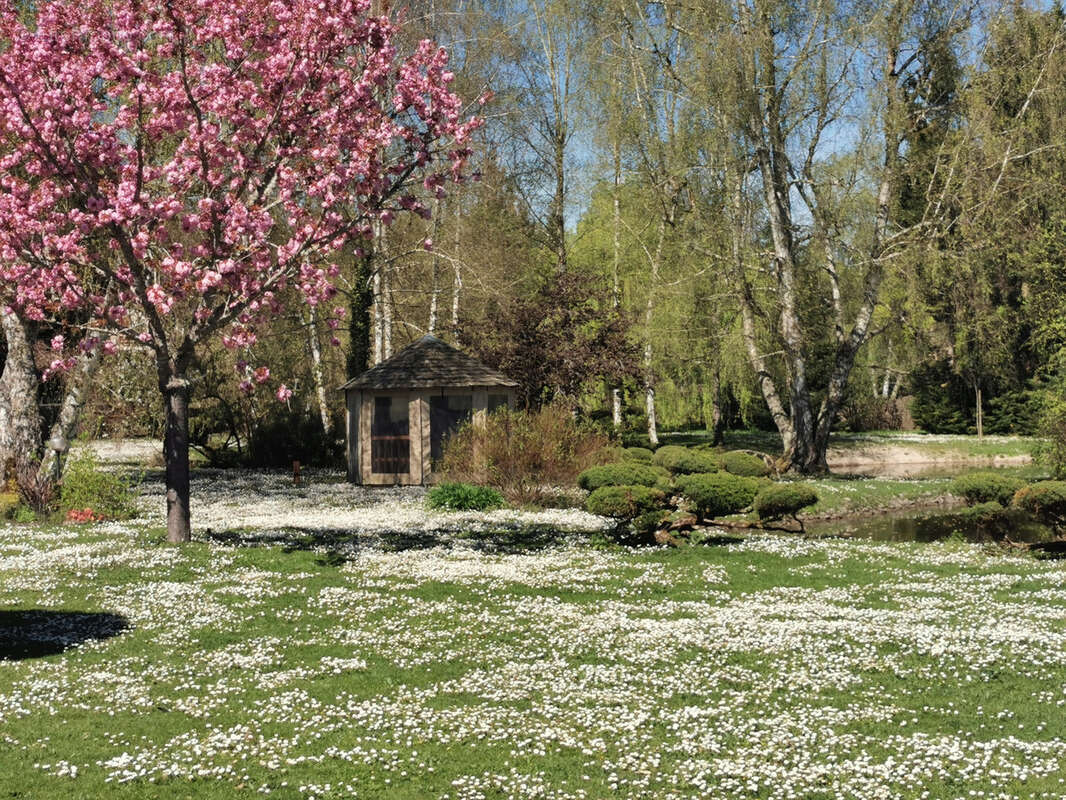 Maison à ROMORANTIN-LANTHENAY