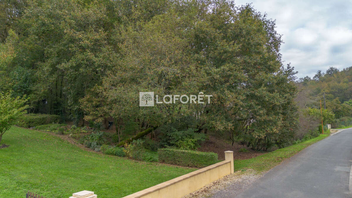 Terrain à CHAMPCEVINEL