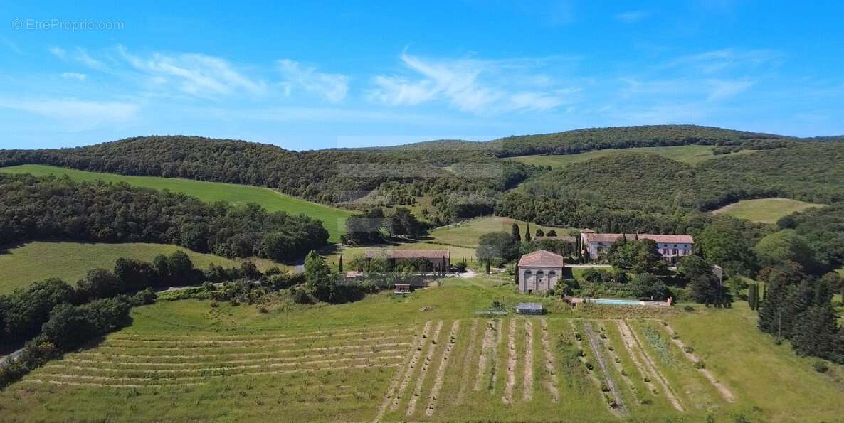 Vaste Propriété Rurale au Pied du Massif de la Malepère  Vue Imprenable sur les Pyrénées  86 ha - photo 13