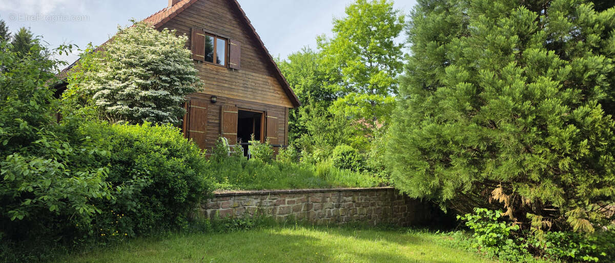 Plaine, chalet cosy au calme, en lisière de forêt, coup de coeur absolu ! - photo 23