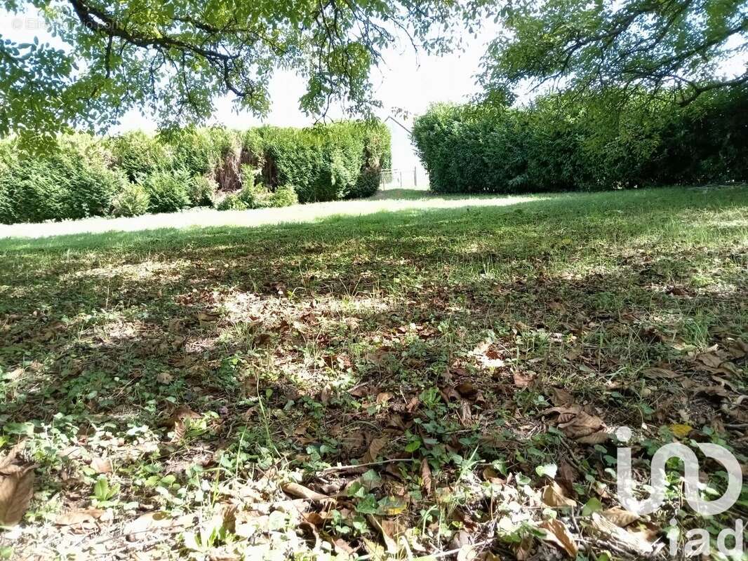 Photo 5 - Terrain à BLANZY