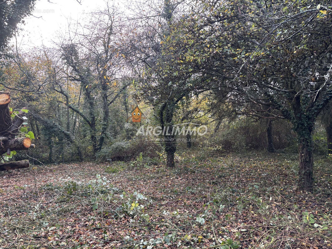 Terrain à BOULOIRE