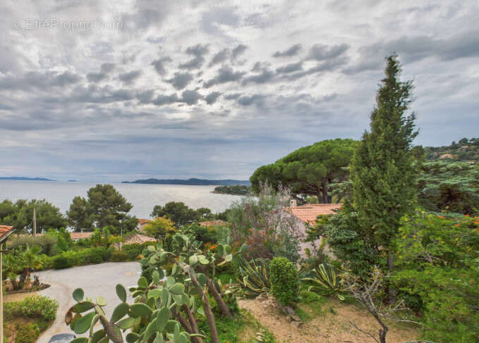 Terrain à LE LAVANDOU