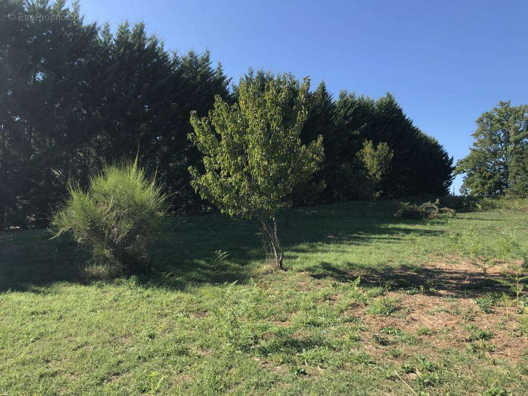 Terrain à GROLEJAC