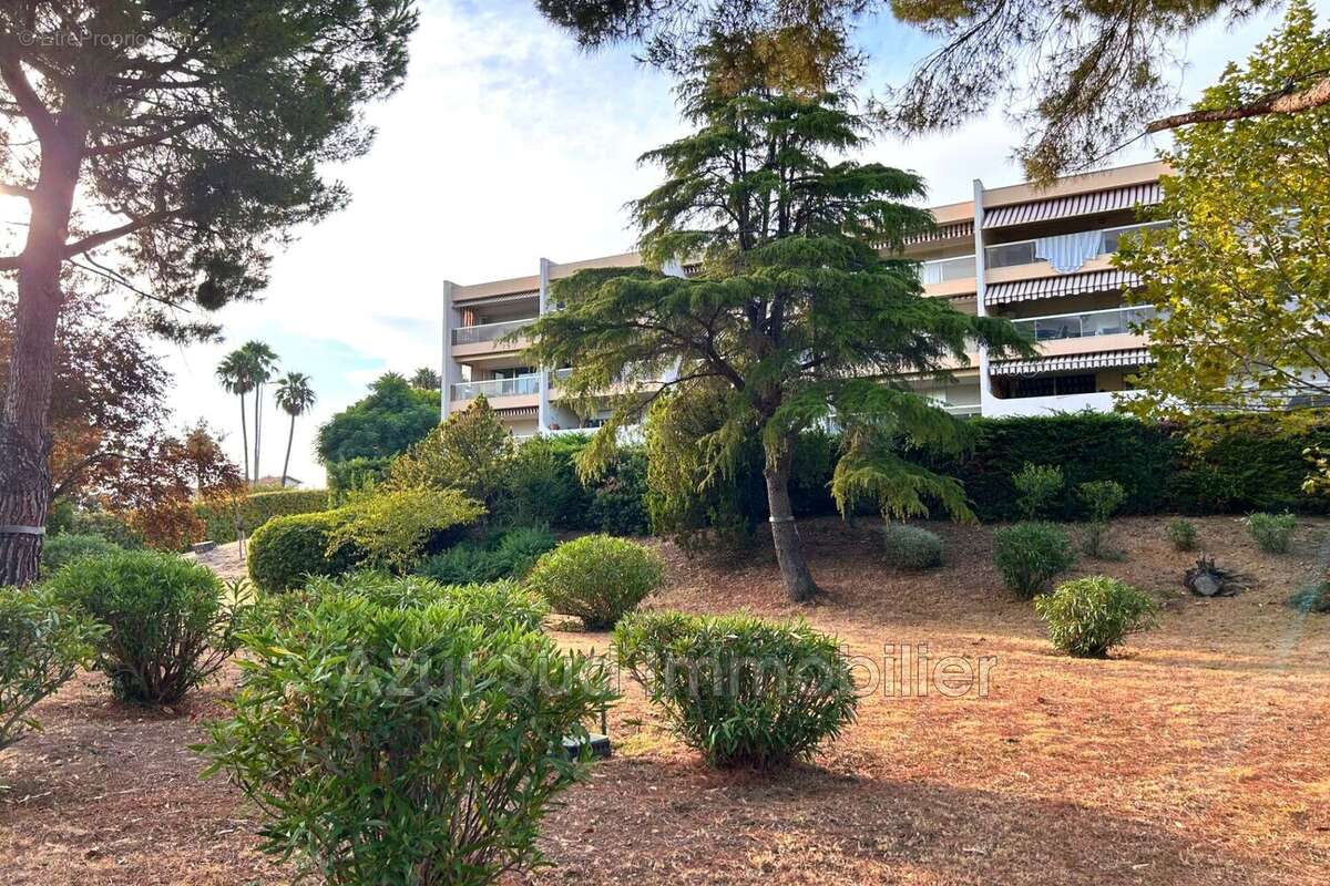 Appartement 49 m² à Antibes  - photo 9