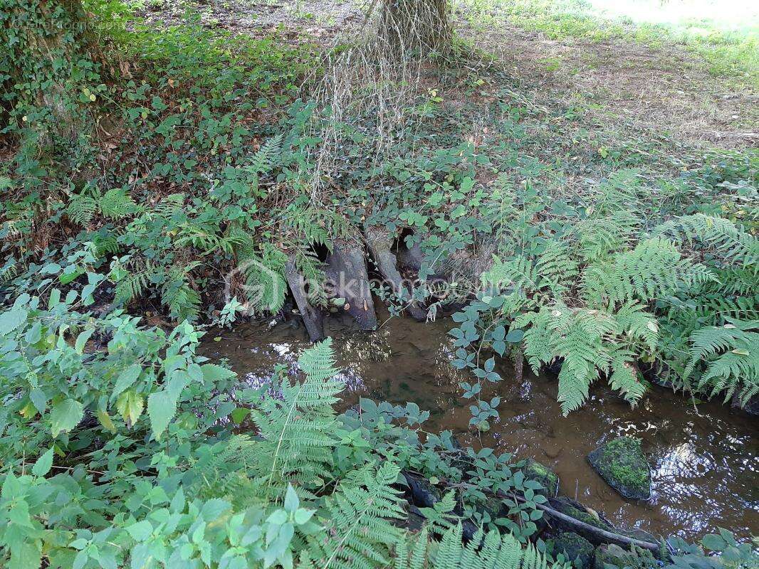 Terrain à COGNAC-LA-FORET