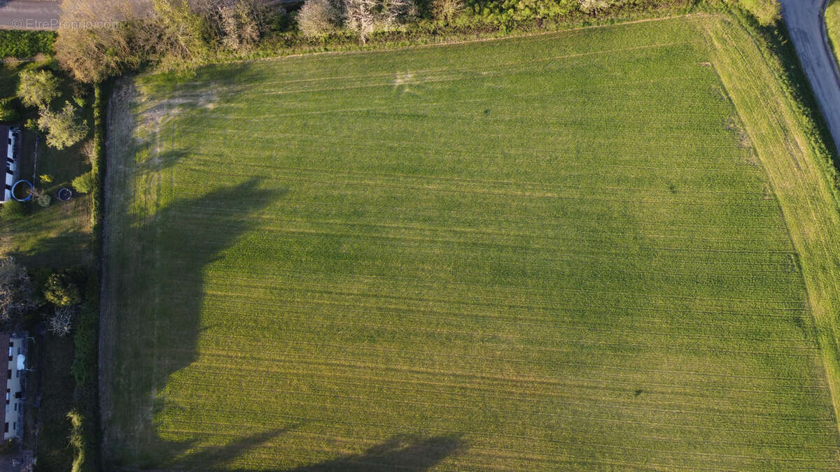 Autre à TOURNUS