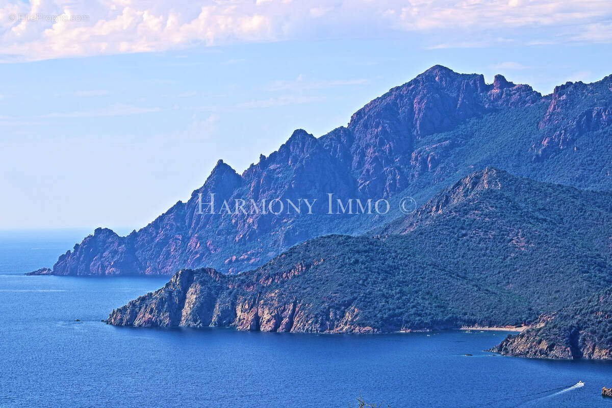 Autre à CALVI