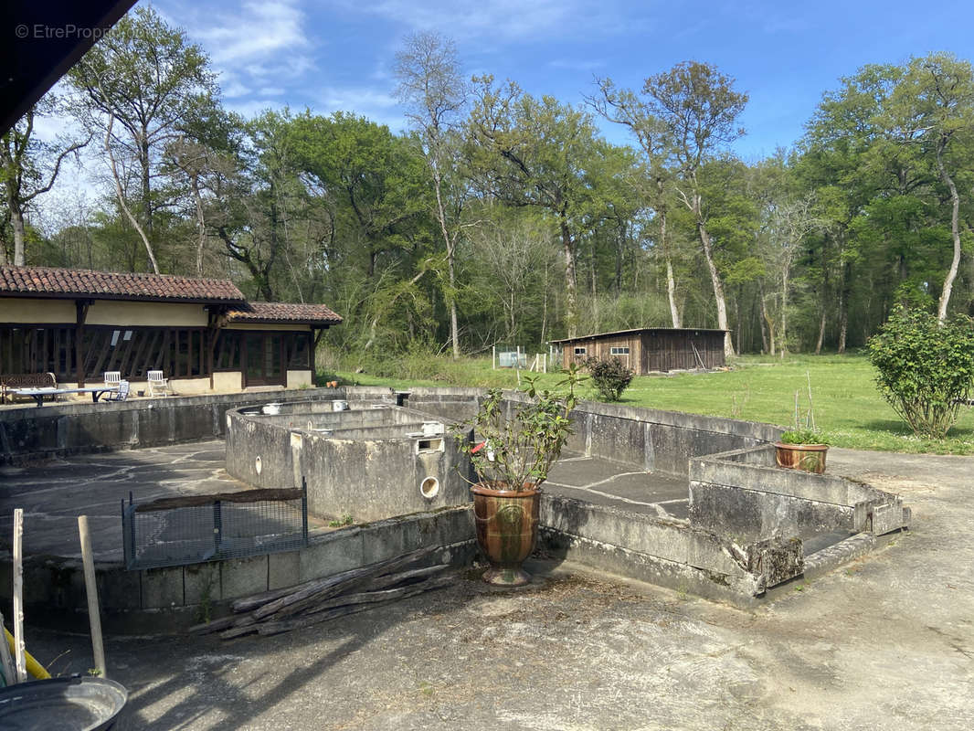 Maison à LABASTIDE-D&#039;ARMAGNAC