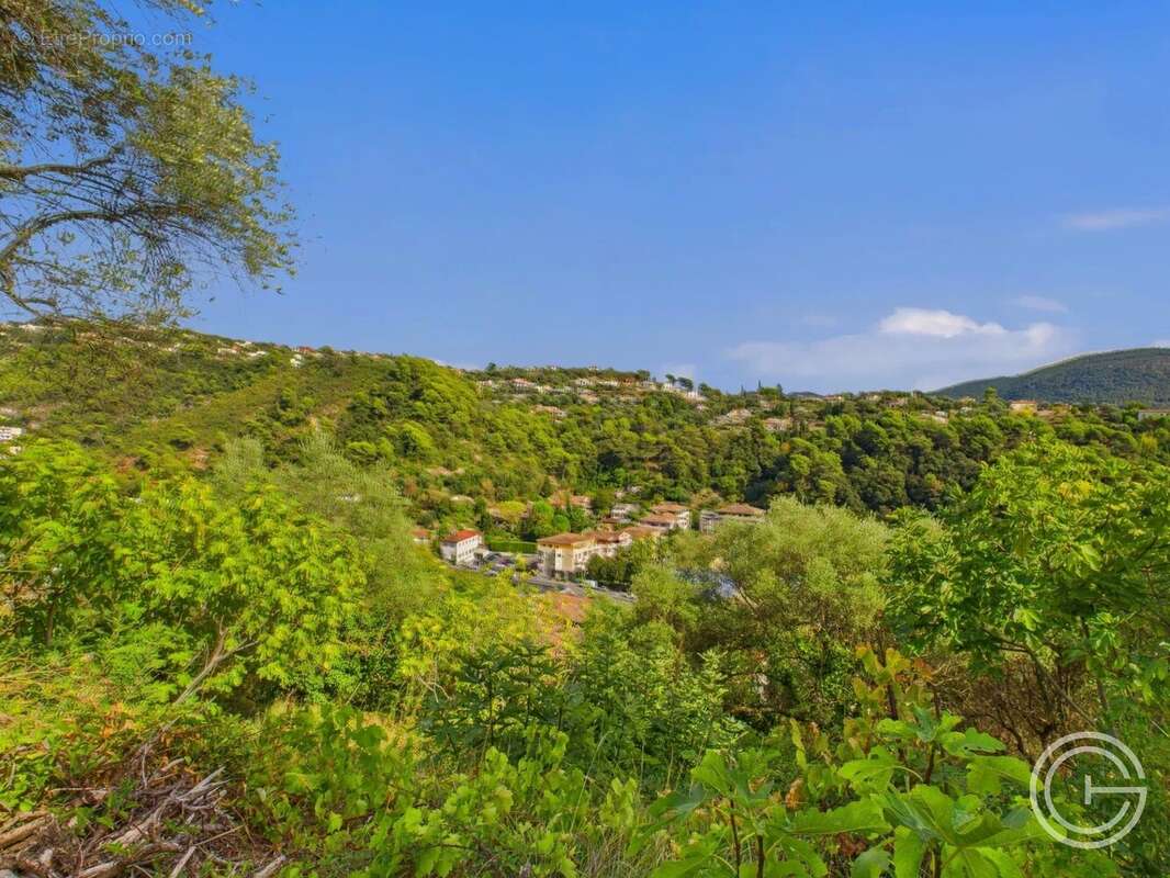 Terrain Constructible - 1.329m² - Chemin de Rimiez - ST ANDRE DE LA ROCHE - photo 14