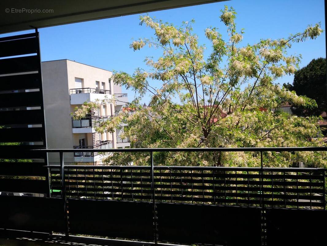 Photo 1 - Appartement à TOULOUSE